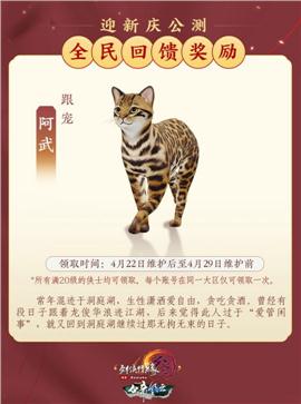 天龙八部私服冰雪经典